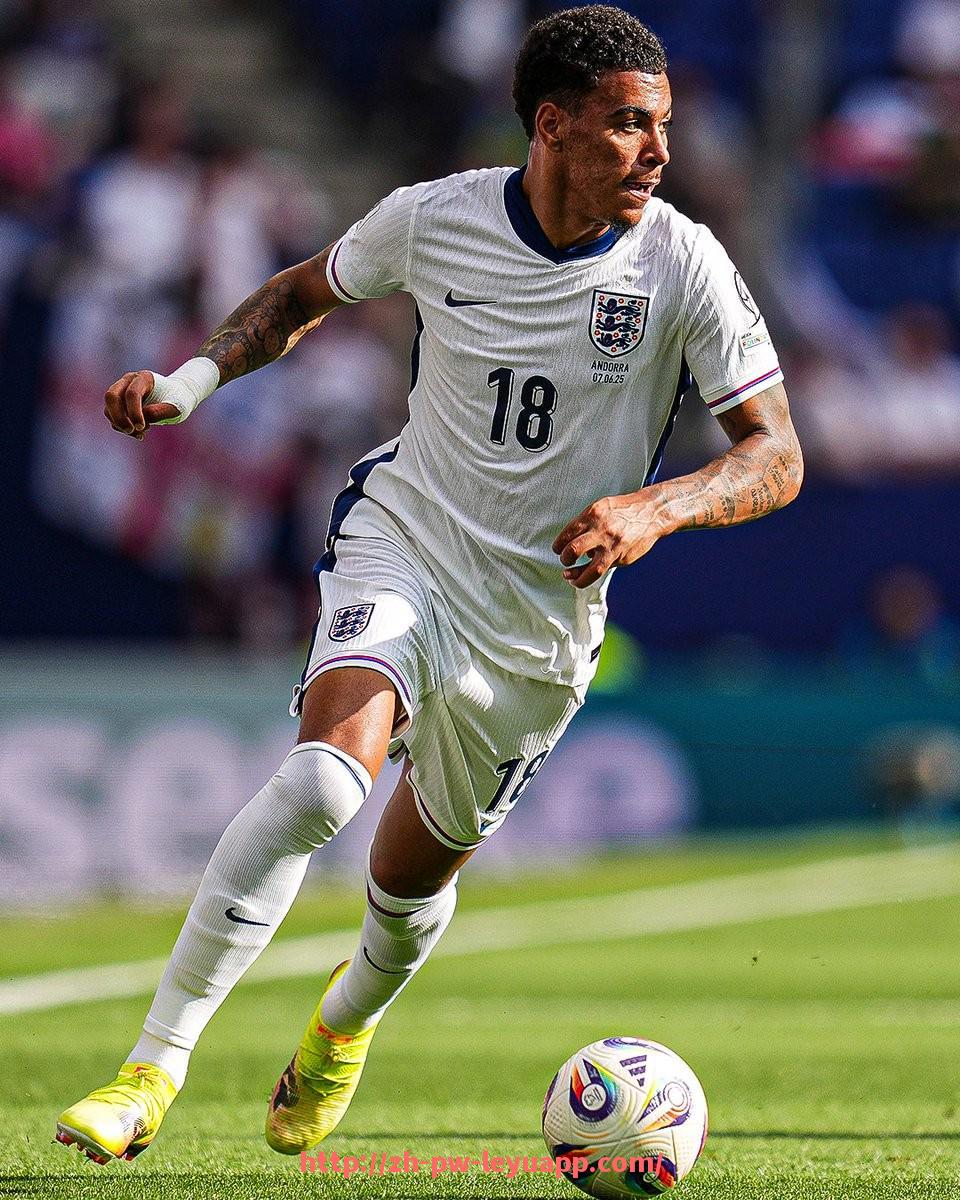 乐鱼体育入口-世俱杯比赛关键进球统计及决胜因素分析